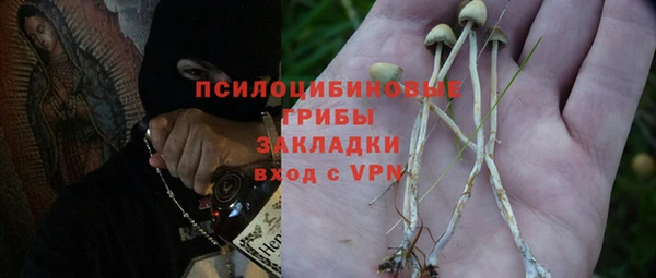 гидра Алзамай