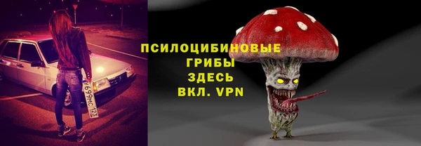 гидра Алзамай