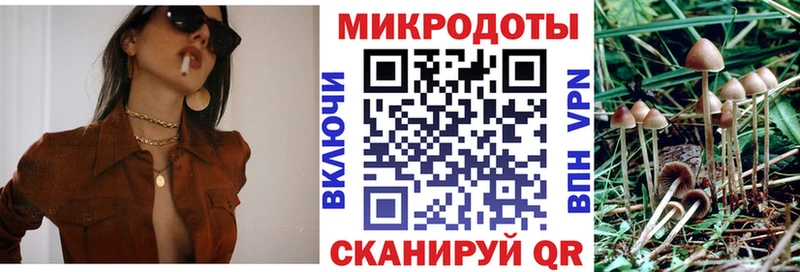 купить закладку  Мамоново  сайты даркнета официальный сайт  Псилоцибиновые грибы Psilocybine cubensis 