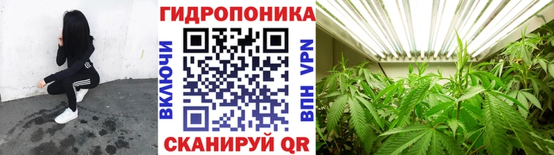где купить   Мамоново  Конопля марихуана 